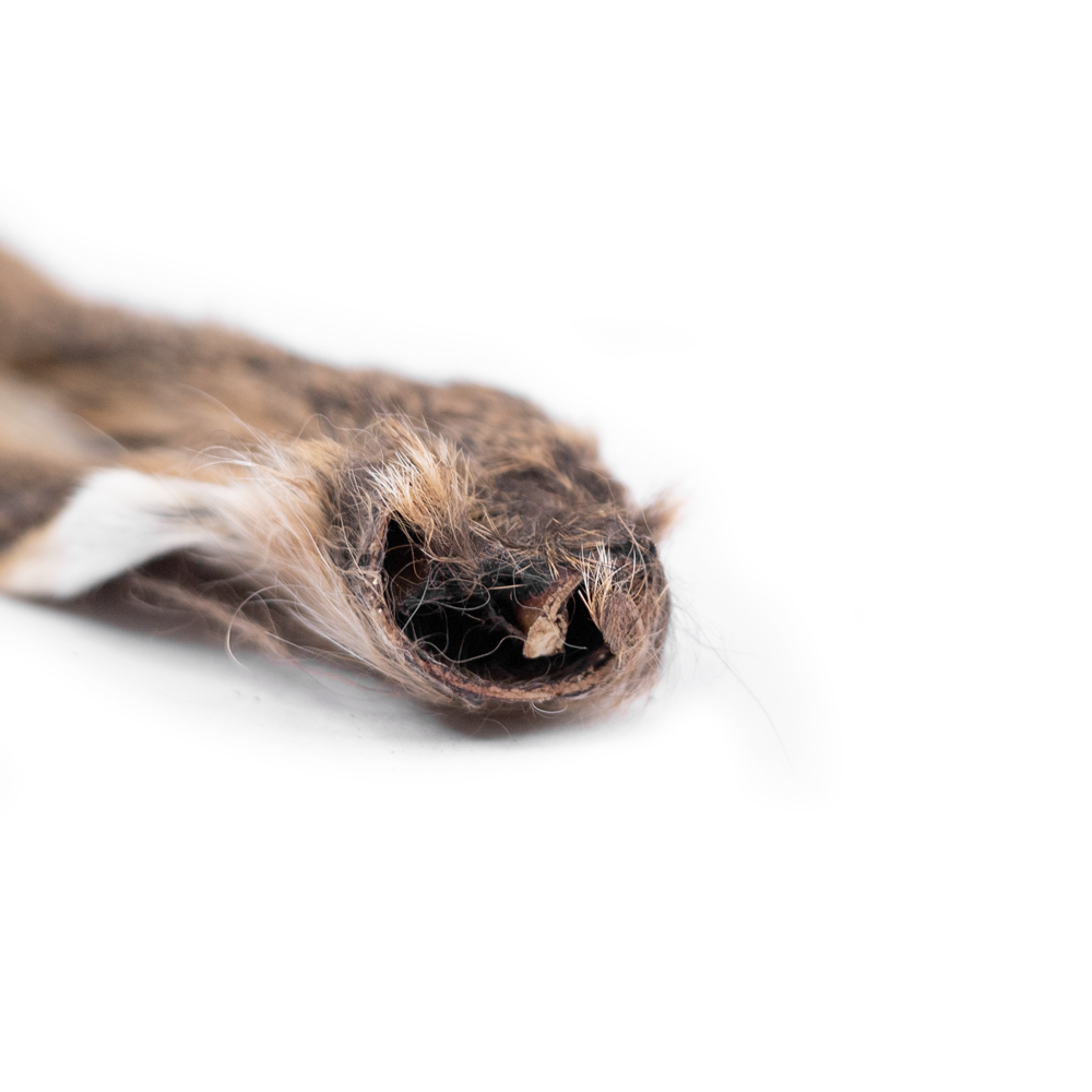 Vildkaninører med Pels