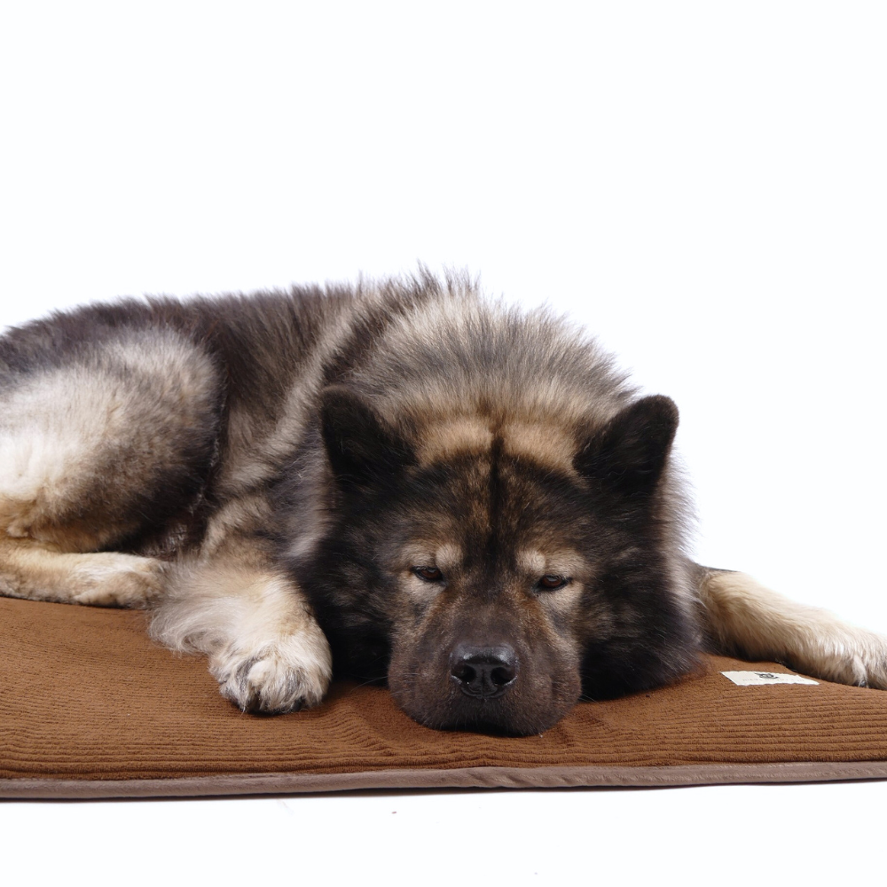 Alma Hundemadras Brown