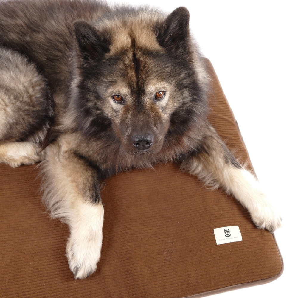 Alma Hundemadras Brown
