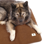 Alma Hundemadras Brown