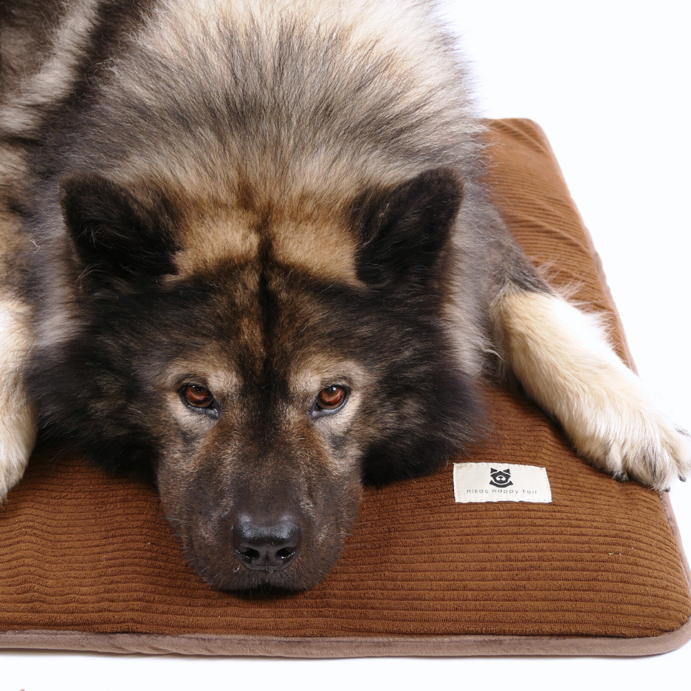 Alma Hundemadras Brown