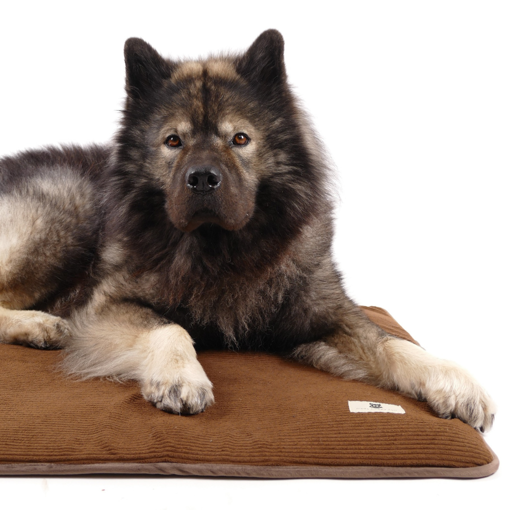 Alma Hundemadras Brown