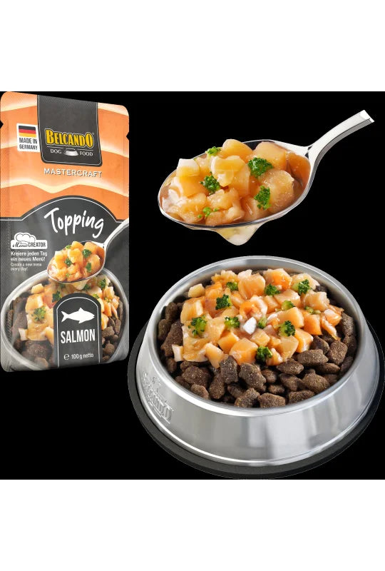 Mastercraft Topping Laks 100 gr.