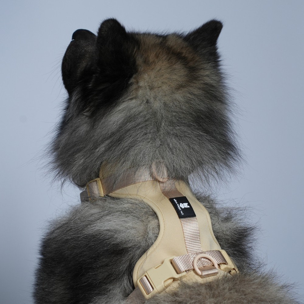 Maui Hundesele Beige