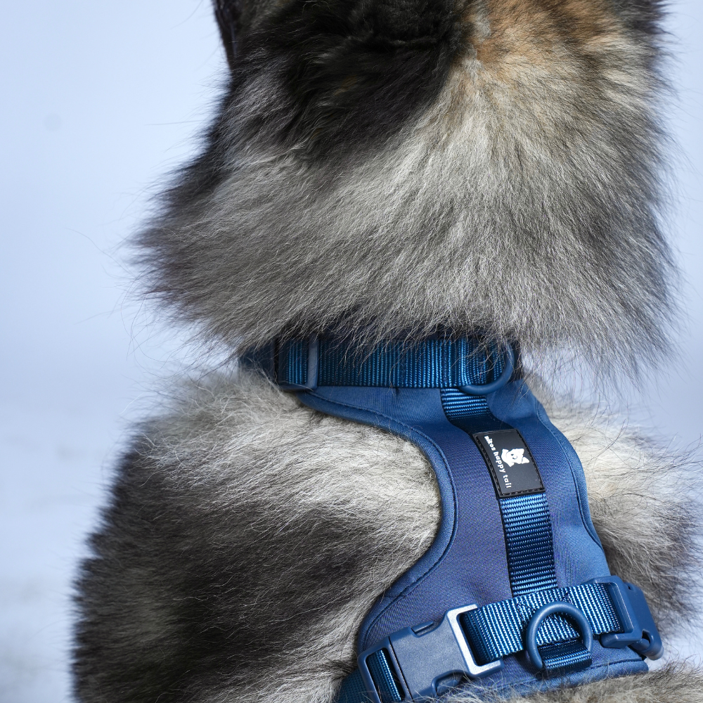 Maui Hundesele Dark Blue