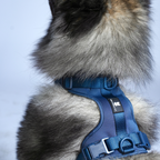 Maui Hundesele Dark Blue