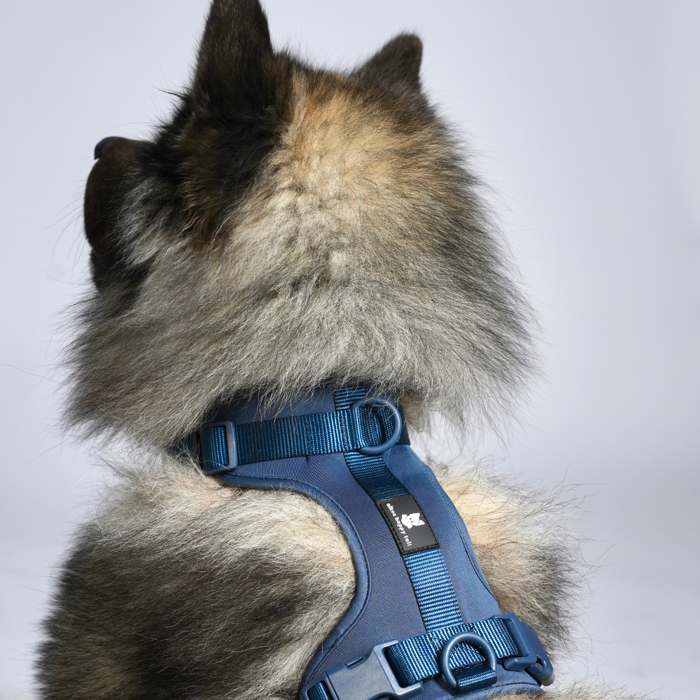 Maui Hundesele Dark Blue