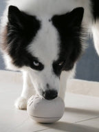 Beskæftigelseslegetøj til hund - Yoomy Donut - Sand
