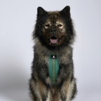 Maui Hundesele Forest Green