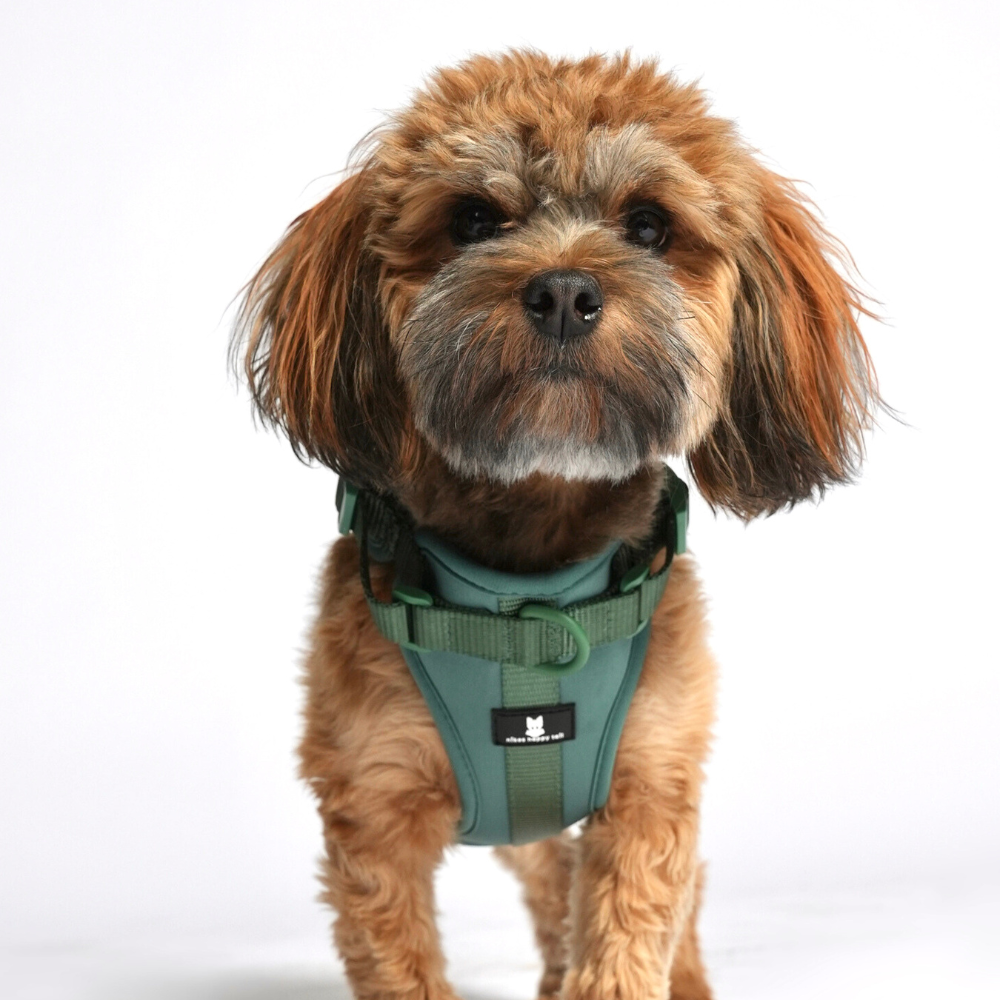 Maui Hundesele Forest Green