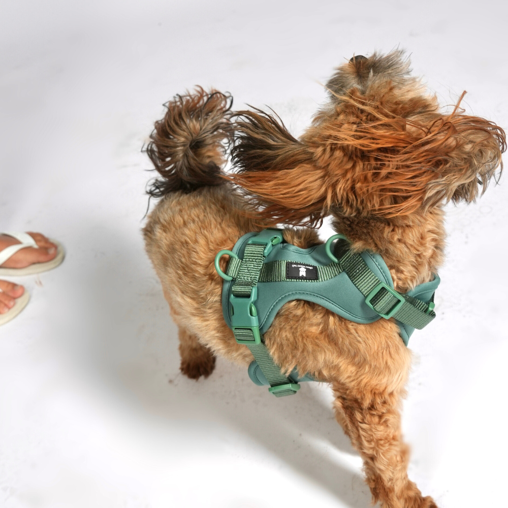 Maui Hundesele Forest Green