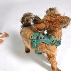 Maui Hundesele Forest Green