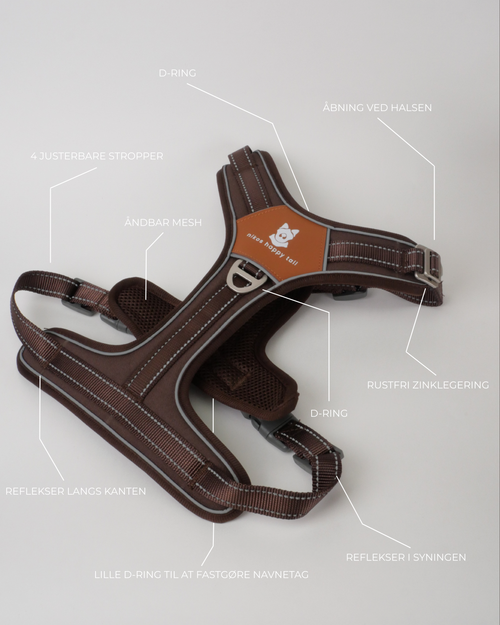 Lau Hundesele Brown