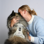 Maui Hundesele Light Grey