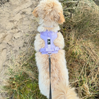 Maui Hundesele Light Purple