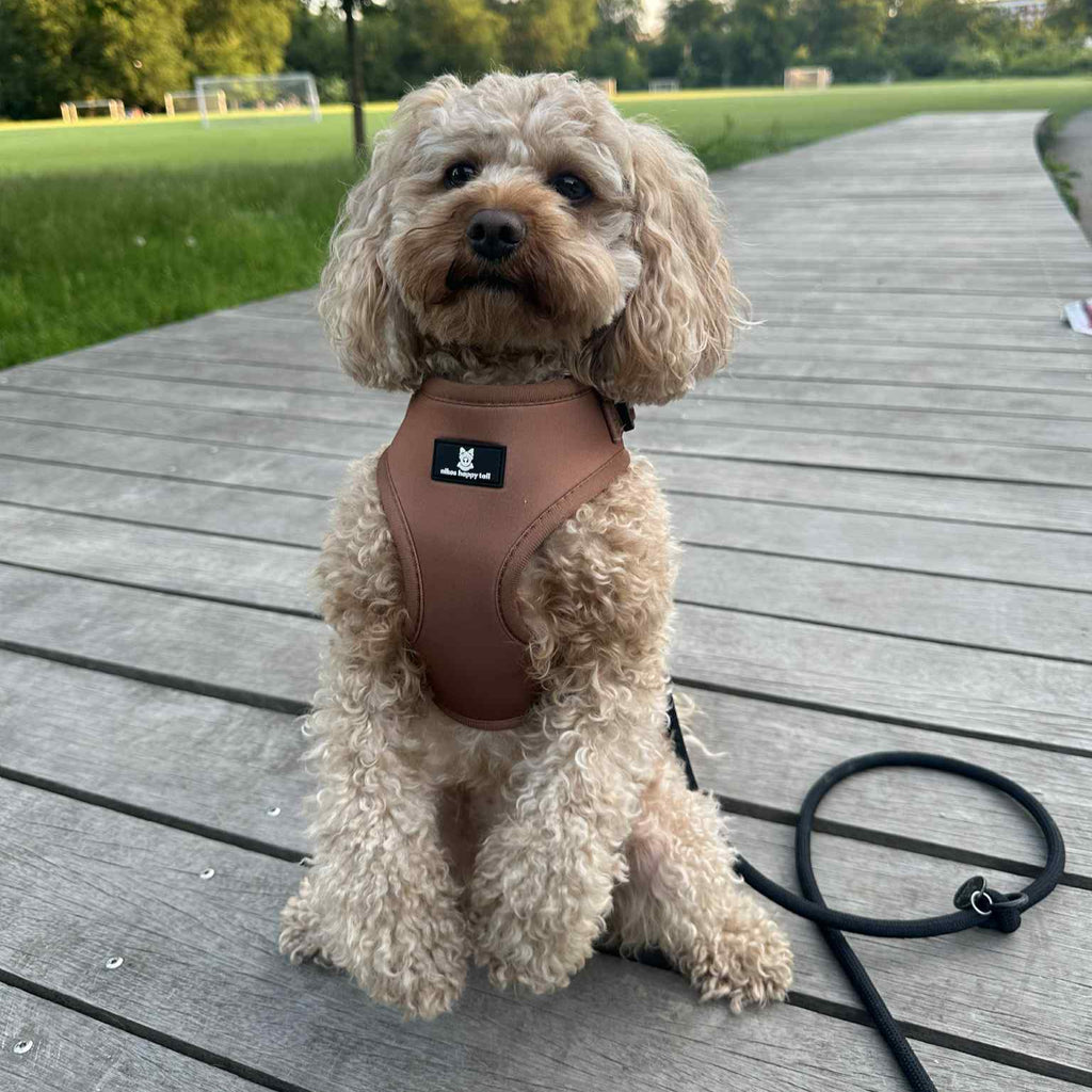 Aiko Hundesele Light Purple