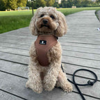 Aiko Hundesele Light Purple