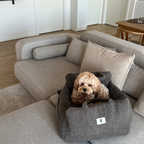 Noah Bilsæde til hunde - Brown