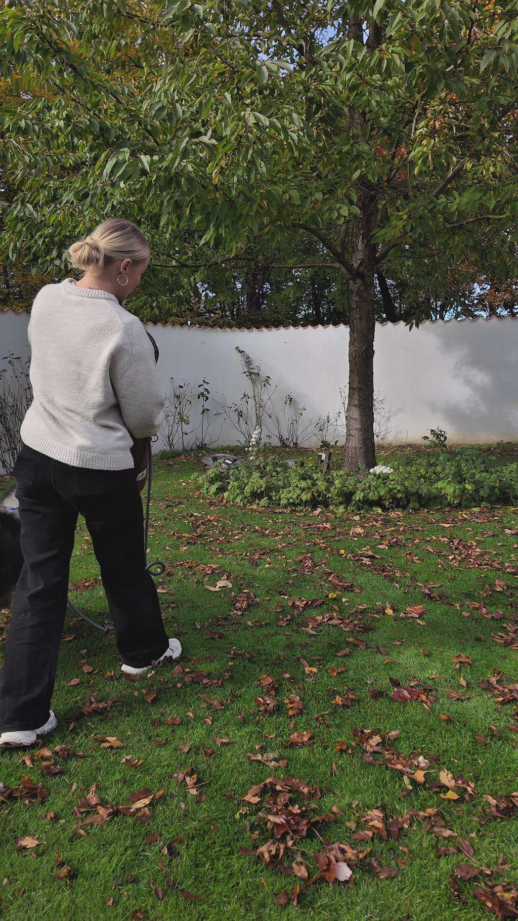 Alma Hundemadras Brown