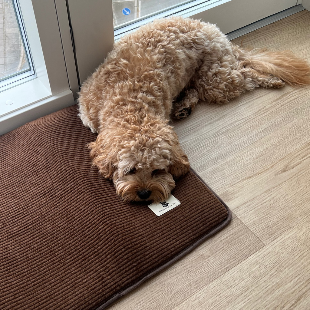 Alma Hundemadras Brown