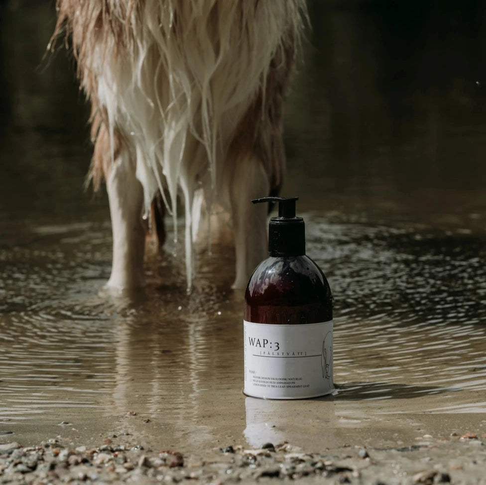 WAP3 Hundeshampoo